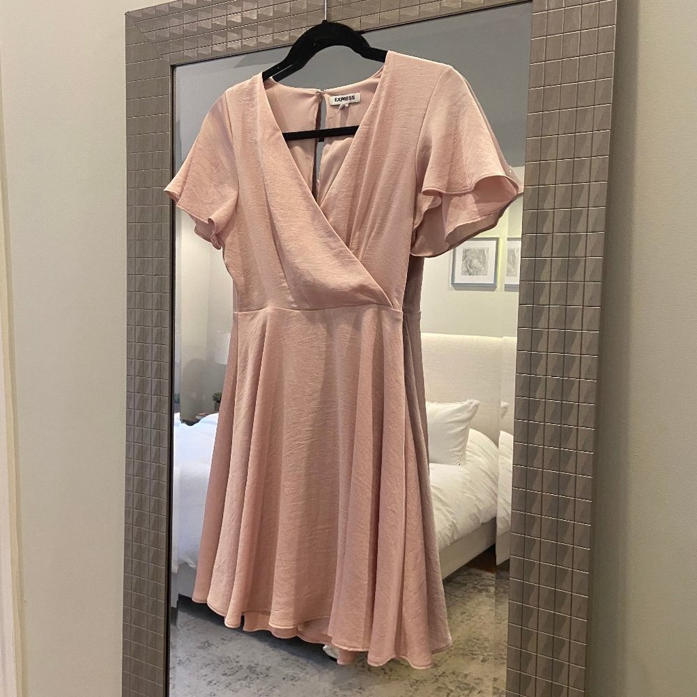 Express Baby Pink Skater Silk Dress